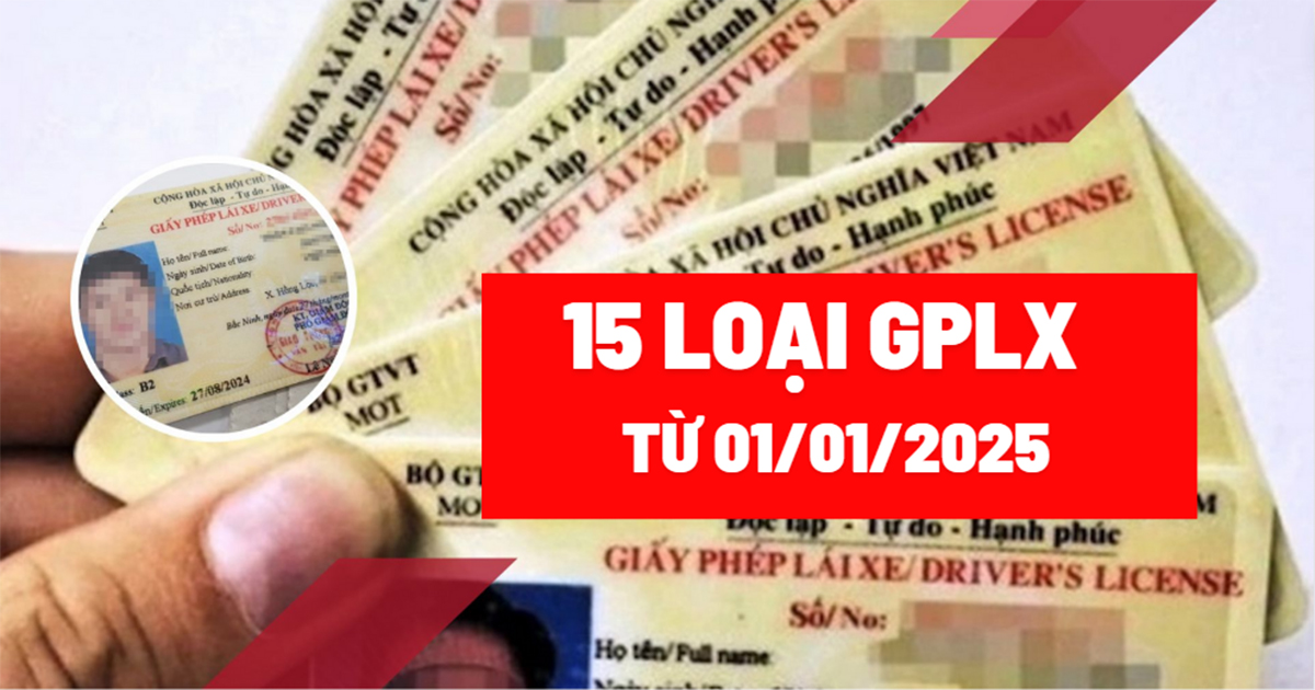 Các loại bằng lái xe, GPLX tăng lên 15 theo luật mới từ 1/2025