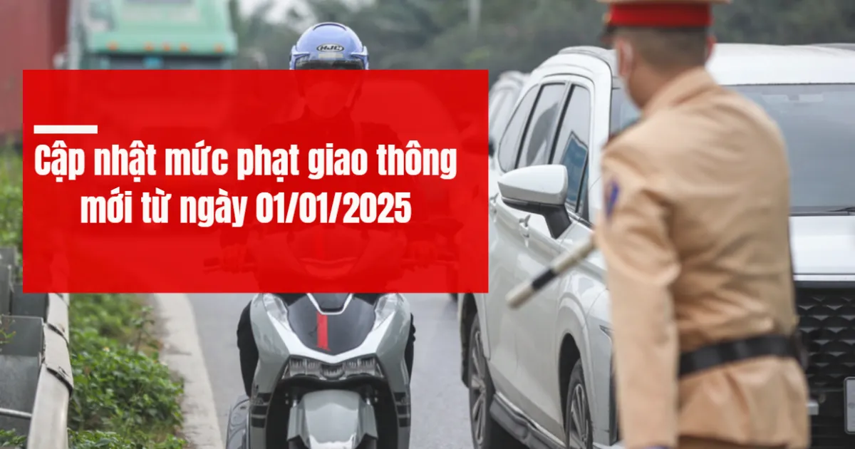 Mức phạt vi phạm giao thông Tăng Mạnh từ 1/1/2025: Cần biết để tránh vi phạm
