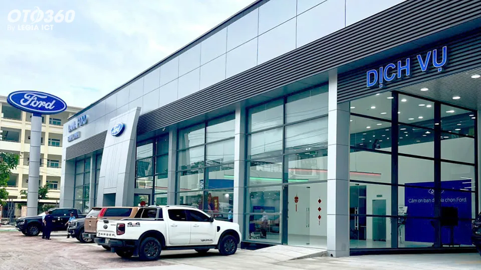 Dana Ford Bình Định