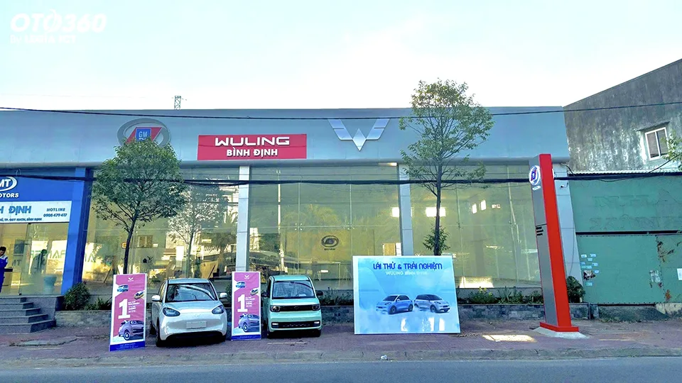 Wuling EV Bình Định